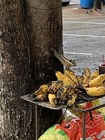 IMG_8022