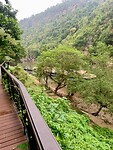 IMG_8067