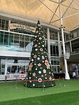 IMG_8240