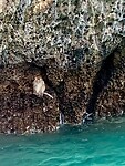 IMG_8301