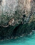 IMG_8303