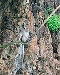 IMG_8304