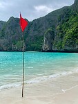IMG_8341