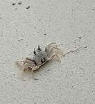 IMG_8343