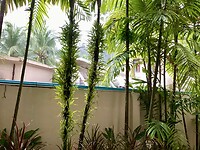 IMG_1124
