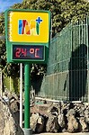 IMG_1246
