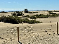 IMG_1247