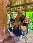 IMG_8632