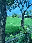 IMG_8608