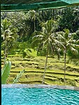 IMG_8719