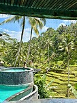 IMG_8721