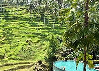 IMG_8730