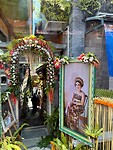 IMG_8731