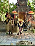 IMG_8828