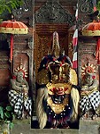 IMG_8825