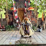 IMG_8850