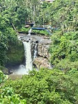 IMG_8897