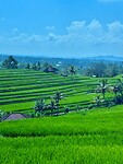 IMG_8938