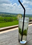 IMG_8965
