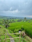 IMG_8975
