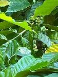 IMG_9005