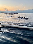 IMG_9189