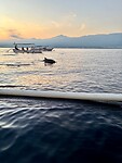 IMG_9187