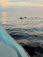 IMG_1766