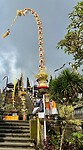 IMG_9249