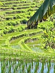 IMG_9376