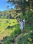 IMG_9382