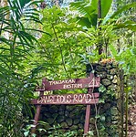 IMG_9339