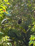 IMG_9337
