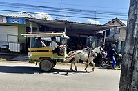 IMG_9479