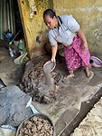 IMG_9491