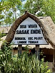 IMG_9527