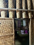 IMG_9529