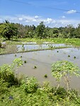 IMG_9505