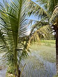 IMG_9502