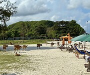 IMG_9547