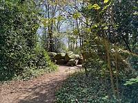 IMG_9774
