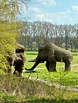 IMG_9776