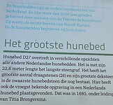 IMG_9775