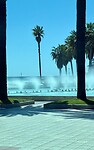 IMG_9811