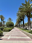IMG_9839