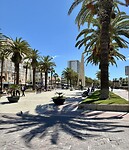 IMG_9838