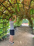IMG_3911