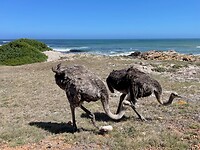 IMG_4048