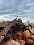 IMG_3901