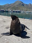 IMG_3980